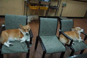 1380944303-3896068789