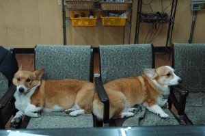 1380944304-1062233166