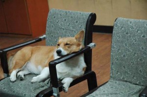 1380944304-2654820626