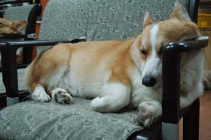 1380944304-3995771257