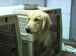 1380944312-1844371430