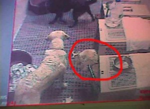 1380944312-3536270368