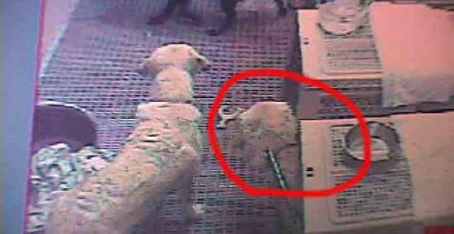 1380944312-3536270368