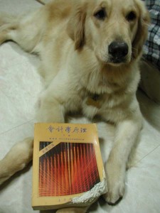 1380944313-407842122