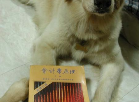 1380944313-407842122