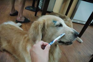 1380944314-1493195304