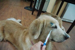 1380944315-1840868822