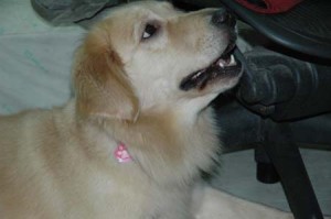 1380944315-504698227