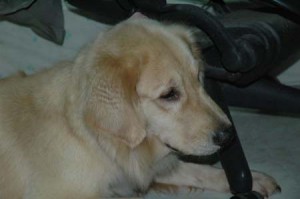 1380944316-1997387394