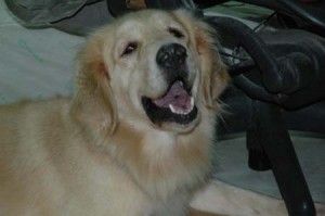 1380944316-2083105485