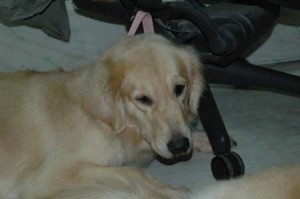 1380944316-564707220