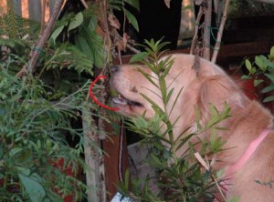 1380944317-1844061521