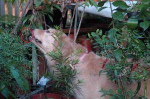 1380944317-4190218934