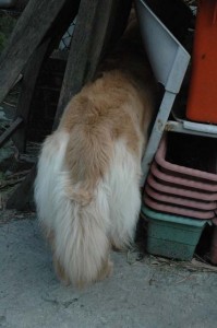 1380944318-207932574