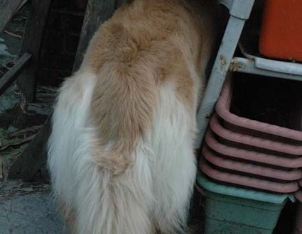 1380944318-207932574