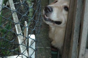 1380944318-2905265430