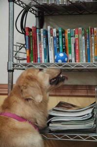 1380944319-2897928502