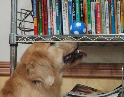 1380944319-2897928502