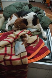 1380944322-1500485901