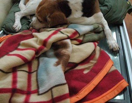 1380944322-1500485901