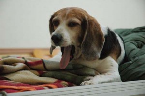 1380944324-2884890465