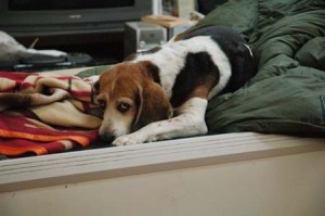 1380944324-4037285592