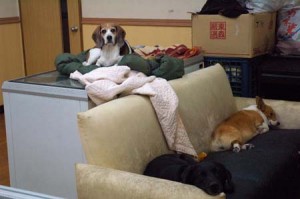 1380944325-1013227945