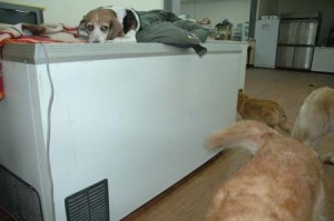 1380944325-2073106263