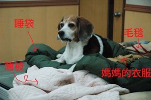 1380944326-156712305