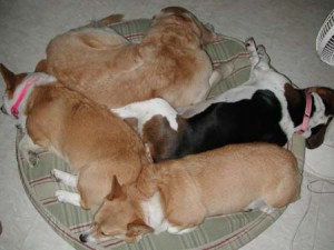 1380944326-2008928870