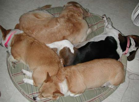 1380944326-2008928870