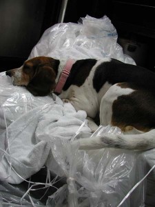 1380944326-2668339836