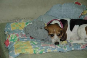 1380944327-612234213