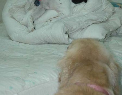 1380944327-778181456