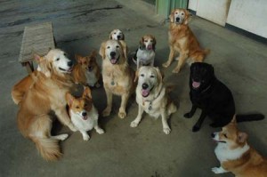 1380944328-2861068046