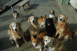 1380944328-3063197836