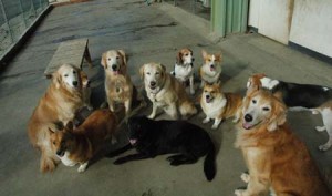 1380944329-3569125117