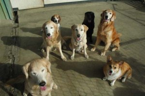 1380944329-392827316