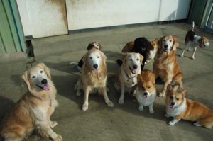 1380944329-900617915