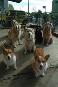 1380944330-1073426448