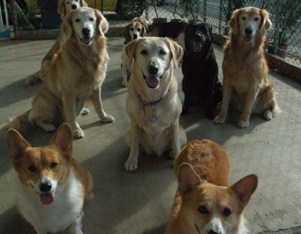 1380944330-1073426448