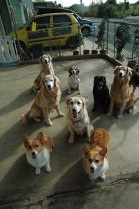 1380944330-2026533754