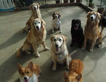 1380944330-2026533754