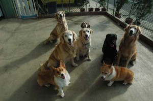 1380944330-2240469103