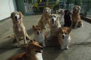 1380944331-2428842231