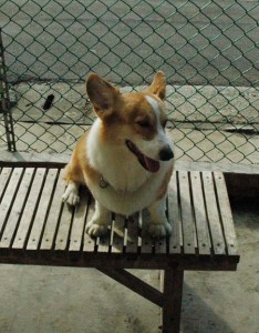 1380944331-3597484639