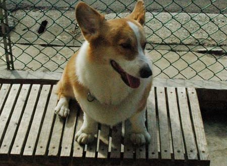 1380944331-3597484639