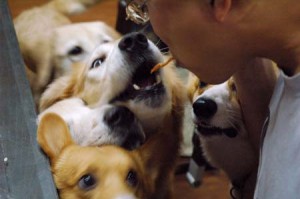 1380944332-3203828788