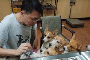 1380944333-3315082056