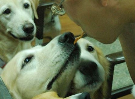 1380944334-3174629309